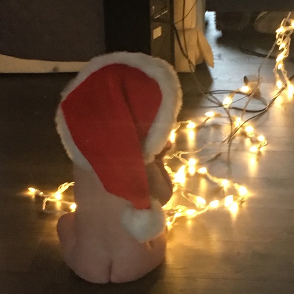 Meet your Posher, Toni - Picture 1 of 1